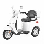 Electric mobility scooter - HECHT CITIS MAX WHITE