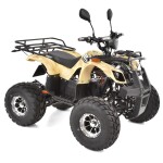 <p>Cordless quad bike homologated for road use. Motor 1200 W. Dimensions (L x W x H): 145 x 102 x 96 cm.</p>