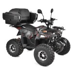 <p>Accu Quad bike <strong>homologated for road use</strong>. Motor 1200 W. Dimensions (L x W x H): 160 x 104 x 121 cm.</p>