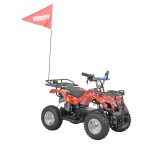 <p>Electric ATV with 800 W engine. Power supplied by 36 V battery with 12 Ah capacity. Speed max. 20 - 25 km/h. Equipped with big 6" wheels. Battery indicator