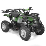 <p>Electric ATV with 800 W engine. Power supplied by 36 V battery with 12 Ah capacity. Speed max. 20 - 25 km/h. Equipped with big 6" wheels. Weight 43 kg. Battery indicator