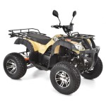 <p>Cordless quad bike homologated for road use. Motor 2200 W. Dimensions (L x W x H): 184 x 116 x 110 cm</p>