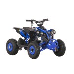 <p>HECHT 56120 battery-powered quad bike offers reliable and quiet operation. With dimensions of 120 x 78 x 76.5 cm and a weight of 65 kg