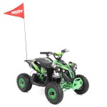 <p>HECHT 56120 battery-powered quad bike offers reliable and quiet operation. With dimensions of 120 x 78 x 76.5 cm and a weight of 65 kg