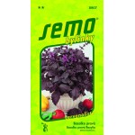 <p>Red-leaved basil with pink flowers