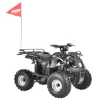 <p>Road-homologated battery-powered ATV. 1200 W motor. Dimensions (L x W x H): 145 x 102 x 96 cm</p>