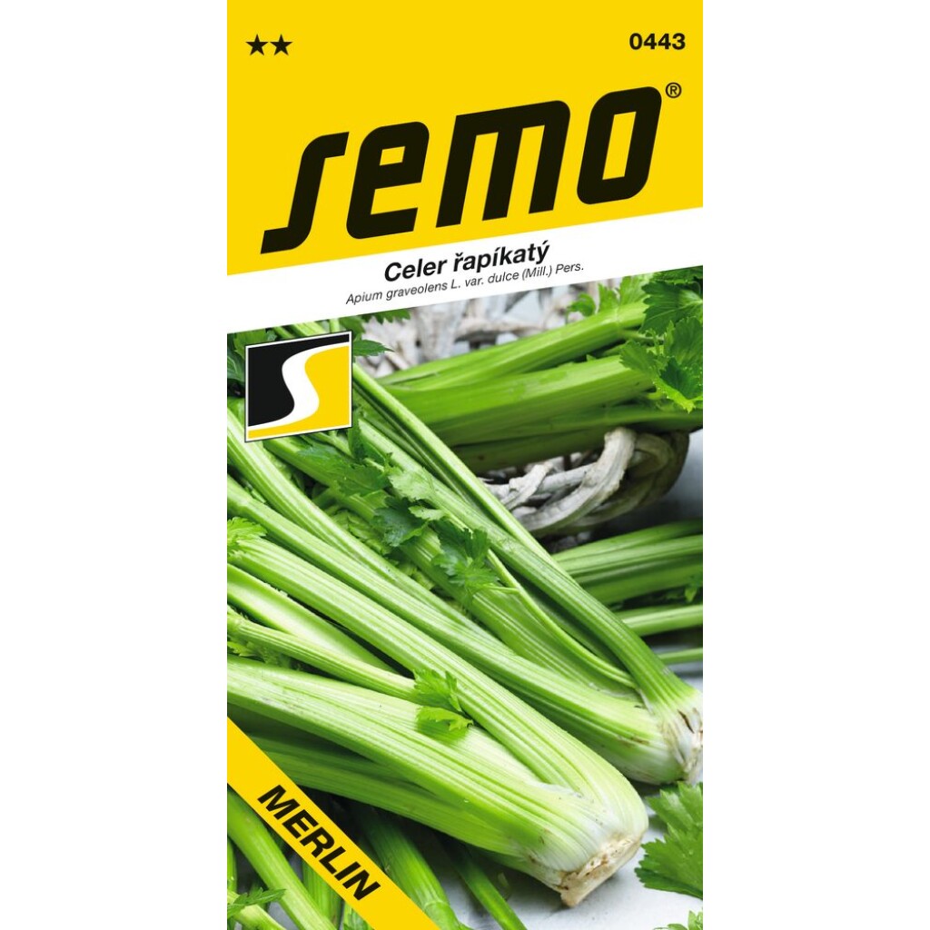 Early variety of stalk celery with long