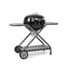 <p>Stainless steel grill with top cover. Adjustable charcoal grill