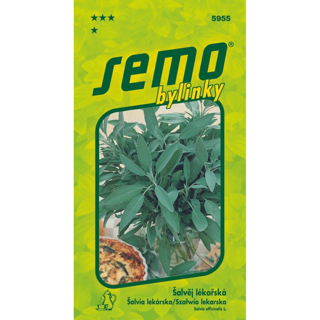 Perennial semi-shrub