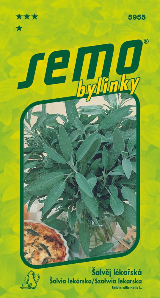 Common Sage 0.8g Perennial semi-shrub