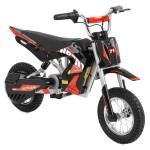 <p>The Accu minicross HECHT 54300 is the ideal choice for young motorcycle enthusiasts. With a top speed of 16 km/h and a range of up to 17 km