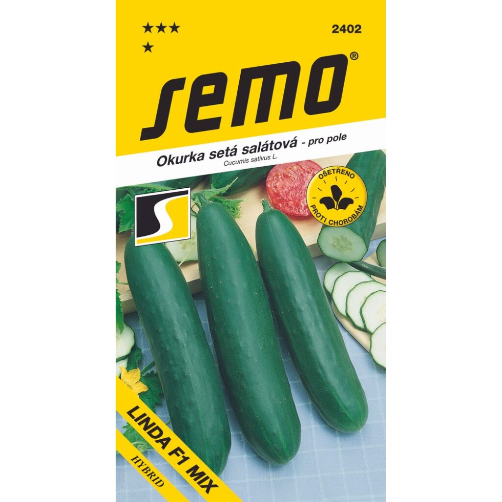 LINDA F1 is a very high-quality