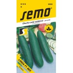 <p>LINDA F1 is a very high-quality