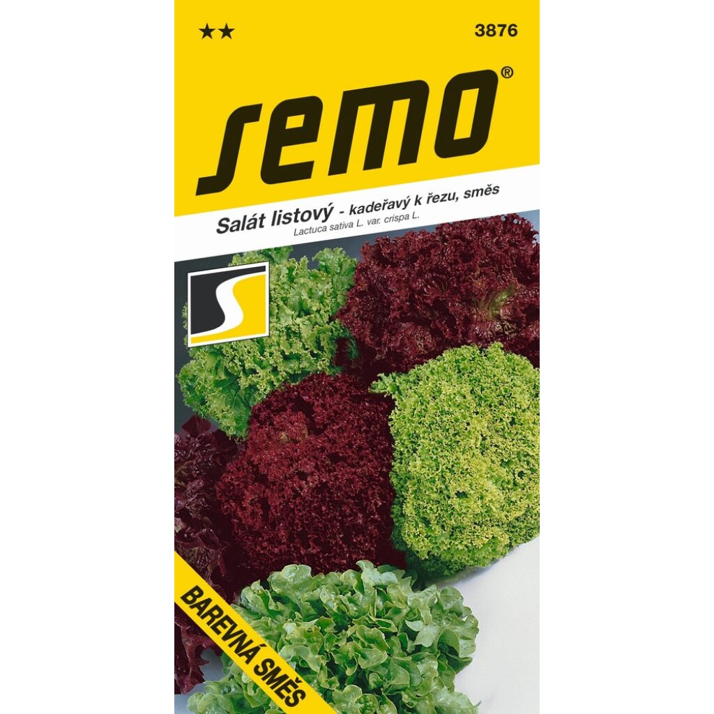 This type of lettuce does not form firm heads