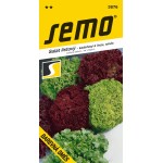 <p>This type of lettuce does not form firm heads