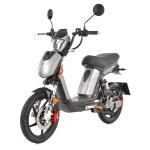 <p>Electric moped (scooter) with 800 W motor. Max. speed 40 km / h