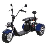 <p>Electric scooter-tricycle. Electric engine 1500W. Battery 60V/20Ah. Max speed 35 km/h. Front-rear disc brakes. Range up to 50 km.</p>