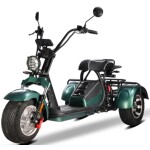 <p>Electric scooter - tricycle with homologation for road traffic. Motor 2000 W. Max speed 45 km/h. Max. range with one battery up to 50 km. Possibility of connecting an additional Li-ion battery 60 V 20 Ah (max. range up to 100 km).</p>