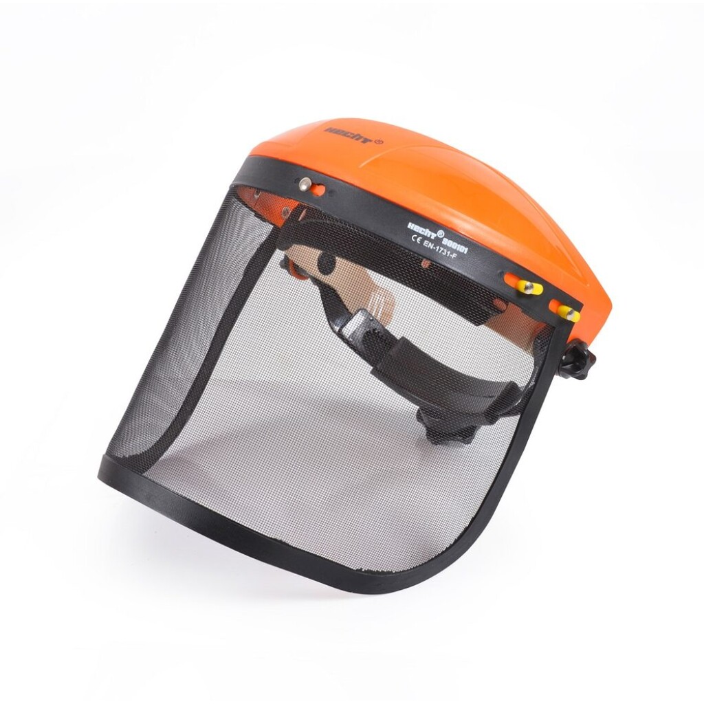 Face shield