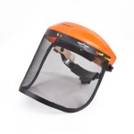 <p>Face shield</p>