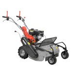 <p>Flail mower with self propelled system. Displacement 252 ccm. Chassis steel. Working width 60 cm. Height 20-80 mm. 3 gears forward