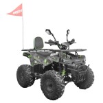<p>The HECHT 56130 ATV with 8" wheels and a powerful 4-stroke 125 cm³ engine is ideal for off-road driving