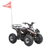 HECHT 54751 - ACCU ATV