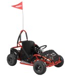 HECHT 54812 - Accu buggy