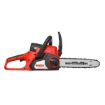 <p class="Standard">ACCU chainsaw with a 30