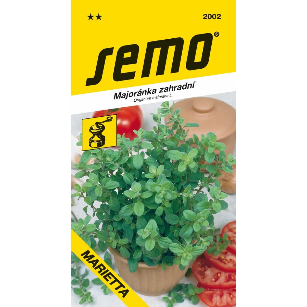 Strongly aromatic ancient medicinal plant originating from North America