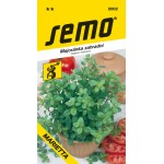 <p>Strongly aromatic ancient medicinal plant originating from North America