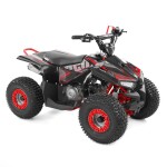 <p>With 7" wheels and a 4-stroke 110cc engine