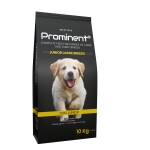 <p><strong>Complete premium food for young dogs of large and giant breeds.</strong> Package weight: 10 kg. Composed of 22
