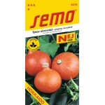 <p>Pumpkin with bright orange fruits with a high flesh-to-seed ratio and high carotene content