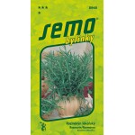 <p>Evergreen subshrub