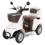 <p>Electric vehicle for seniors and people with reduced mobility. 1000 W motor