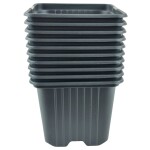 <p>Square black plastic container made of soft quality material is designed primarily for growing plant seedlings. Packed in sets of 10 pieces.</p>
