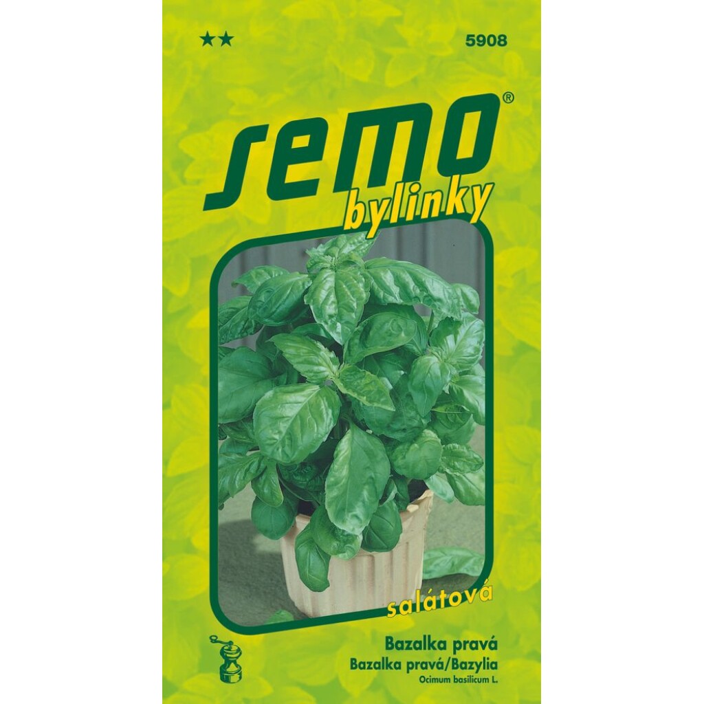 Vigorously growing "Toscana" type variety reaching 40-50 cm in height