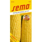 <p>Super sweet corn from the Gourmet collection. Early variety with excellent taste properties.</p>