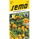 <p>Very early compact tomato with yellow round cherry fruits weighing 15–20 grams.</p>