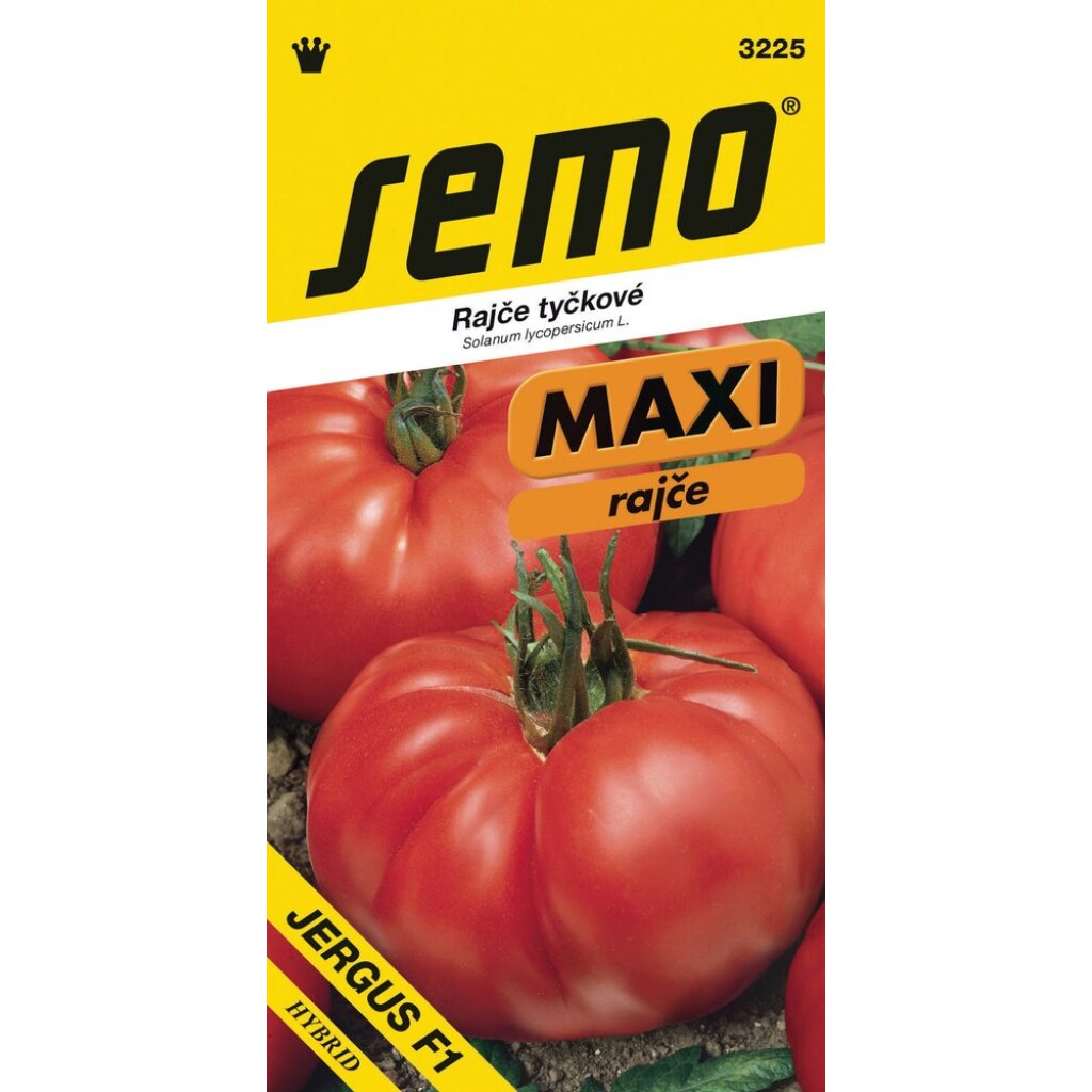 Semi-early beefsteak cordon tomato with large and meaty fruits.