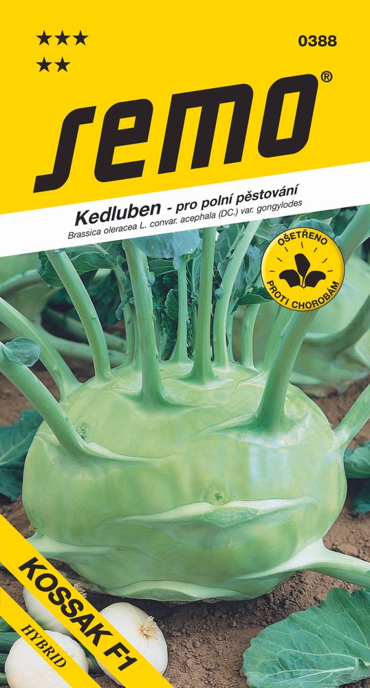 White Kohlrabi - Kossak F1 Late Hybrid