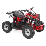 <p>Accu ATV
