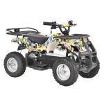 <p>Accu quad HECHT 56100