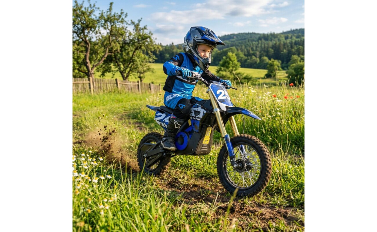 12 Ah. Motor 1000 W. Weight 45 kg. Speed 28 km / h. Range 15 km. Wheels 10/12 ". Max. speed setting. Charging time 8 approx. hours.
