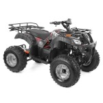 <p>Sport-utility petrol quad bike with 4+1 manual transmission