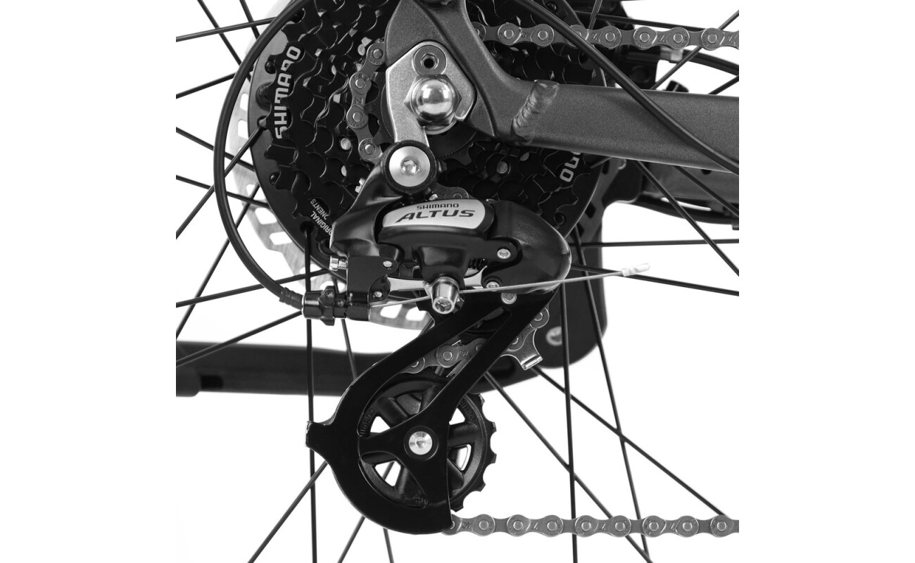 28" wheels. Range on electric motor up to 50 km. Battery and charger included.