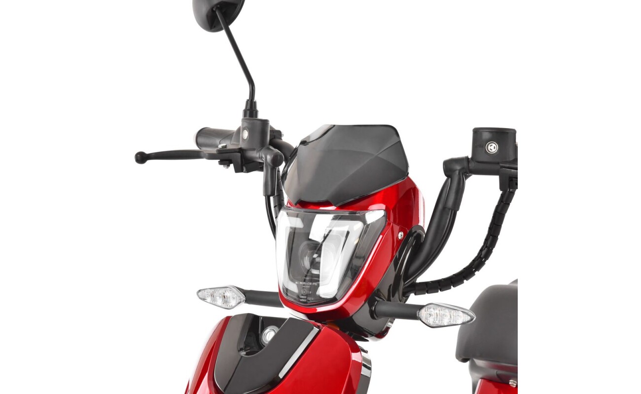 range up to 40 km. The range can be increased by pedaling like a bicycle.