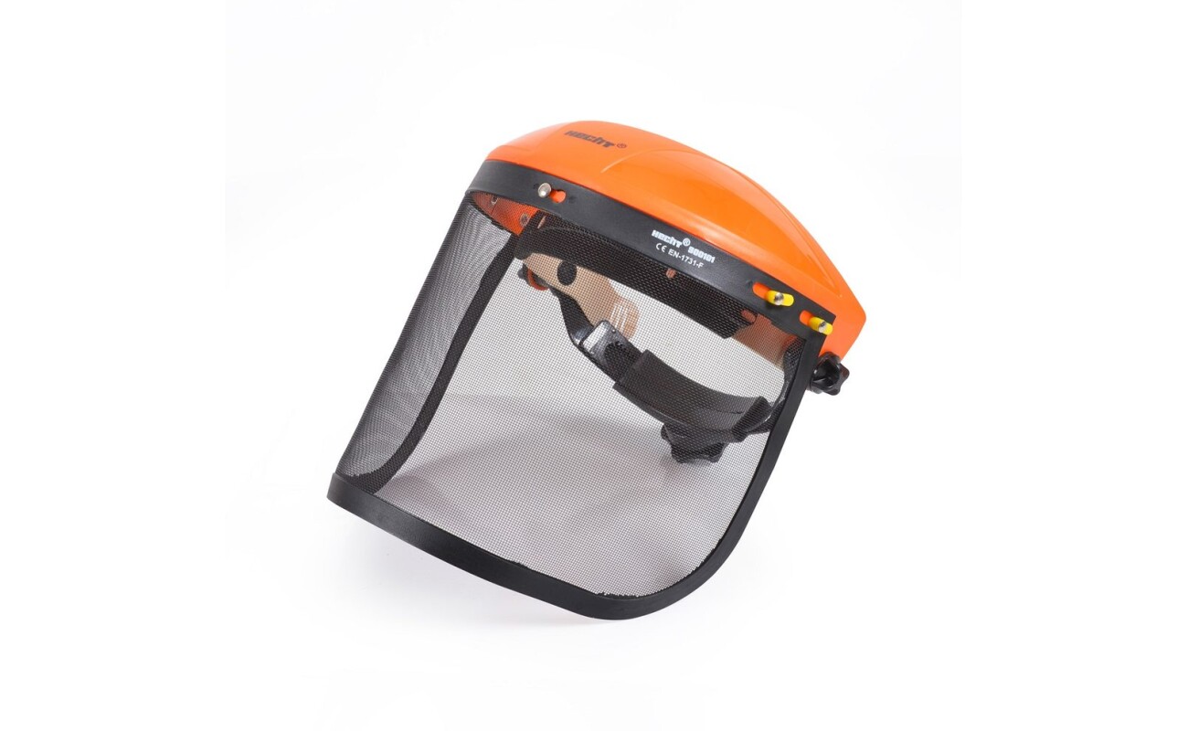 Face shield