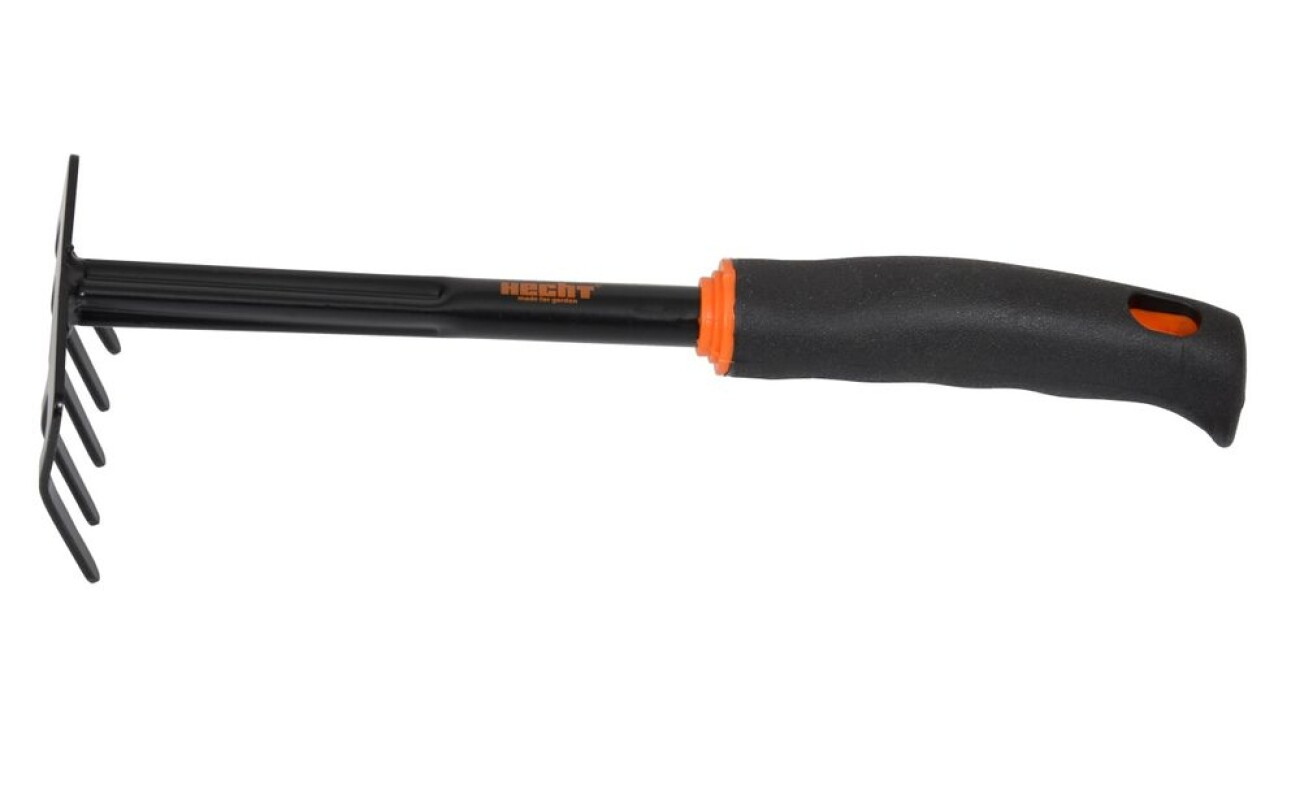 Total length 30 cm.